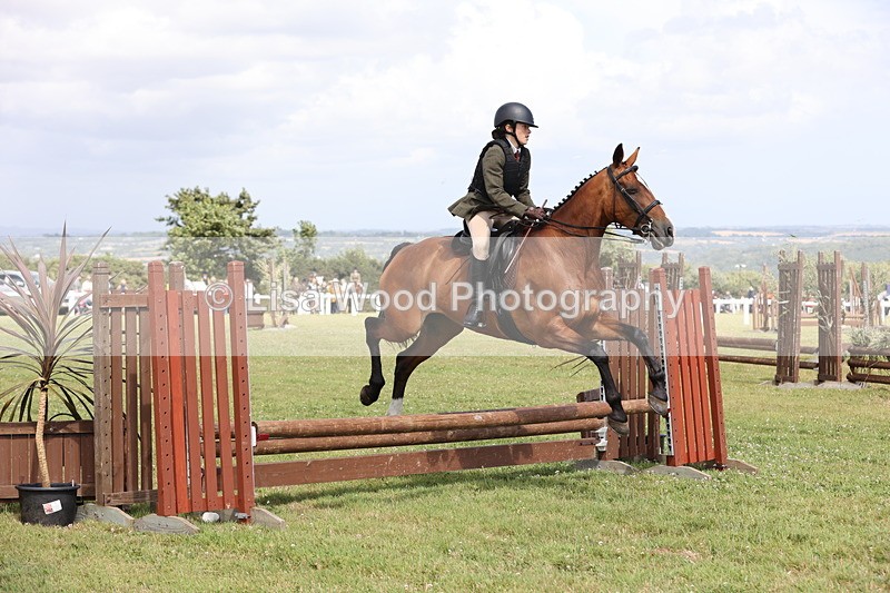 JPP_2063 - Class 19: Working Hunter 60cm