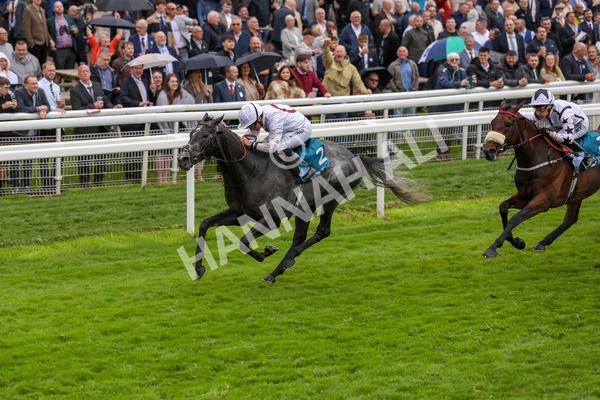 130724-Race 4-Alsakib-2077 - Race 4 3.45pm John Smith's Silver Cup Stakes