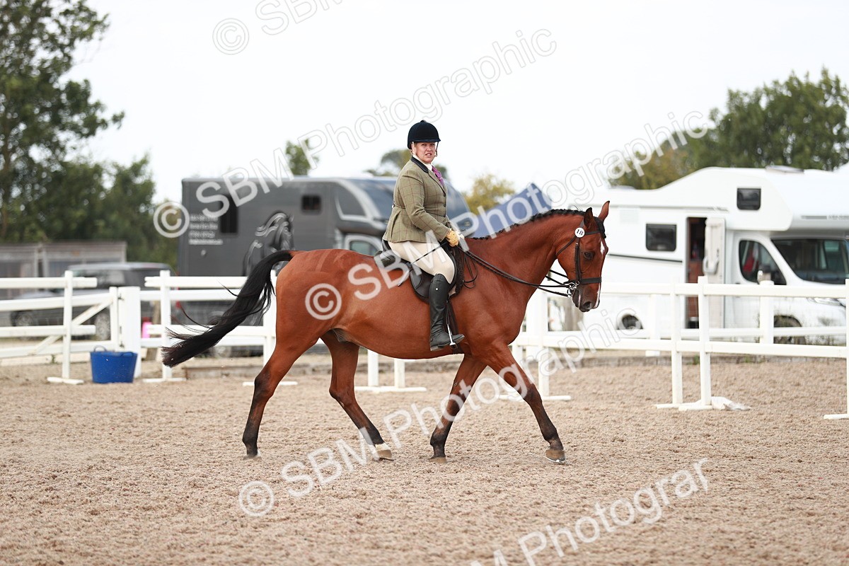 SBM_15482 - Class 213 Ridden Hunter -Large