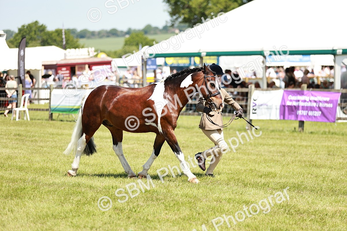 SBM_15496 - Class 108-109 - BSPS LIHS Open Gradle & Nursery Stakes