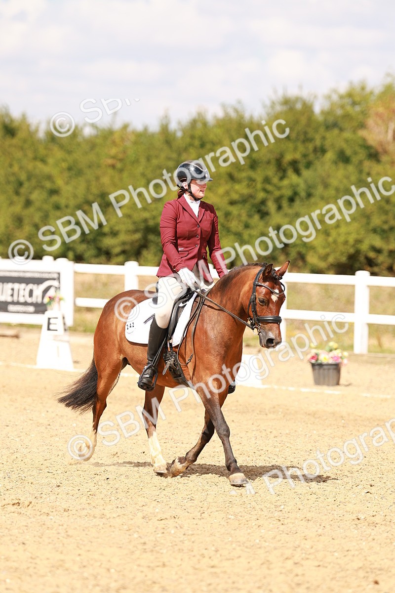 SBM_018616 - Class 9 - N5 Bronze 11.57.13.07