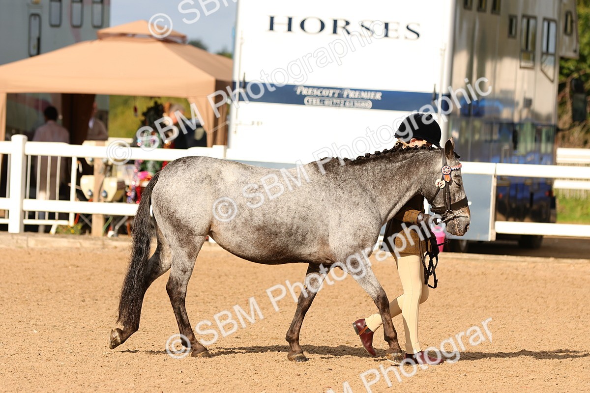 SBM_09180 - Class 204 - Young Handler