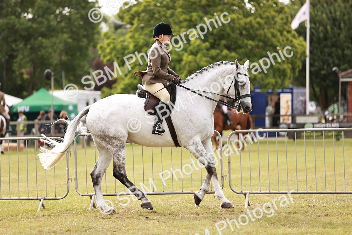 SBM_10856 - Class 81-84 - RIHS Ridden hunters Inc Ladies Hunter