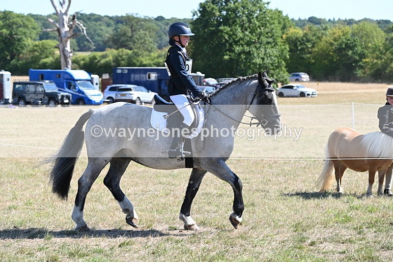 WJ6_8294 - Class 37a Best Loan Pony Ridden