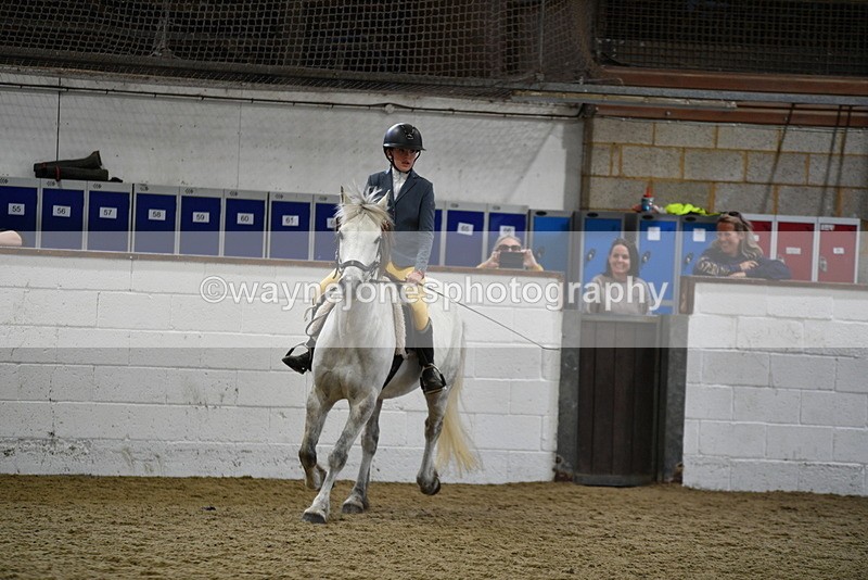 WJ5_7913 - Class 13 Ridden Part Breed