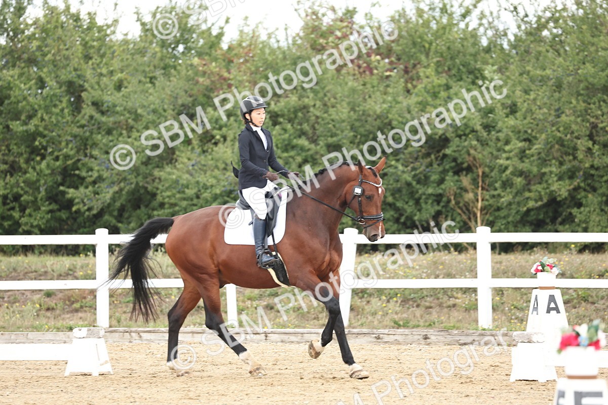 SBM_002519 - Class 7 - Novice 2 Warm Up