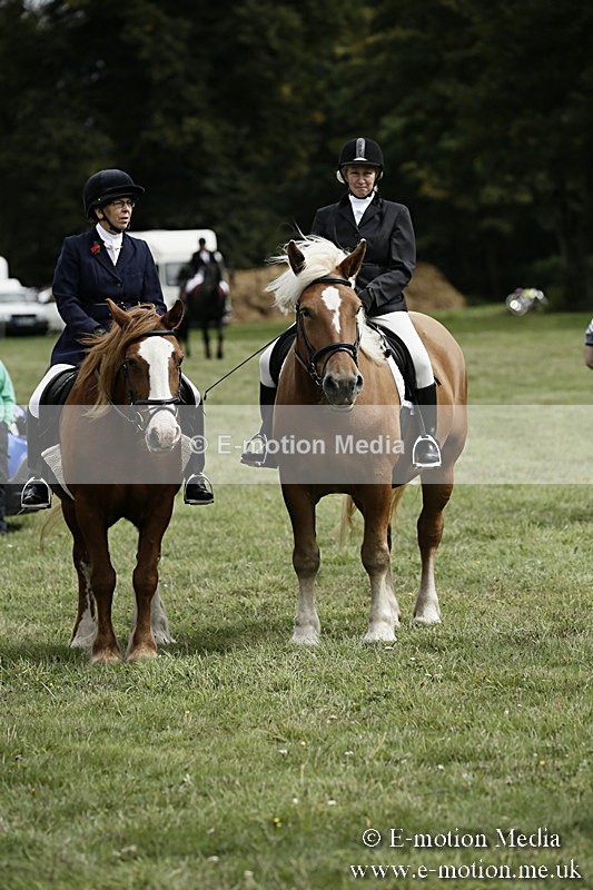 BVR080918 98 - BVRC Novice Dressage & CR 08/09/18