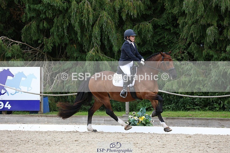 230812-142927-04430 - Cls 5 Novice Bronze 13.40 to 14.45 break