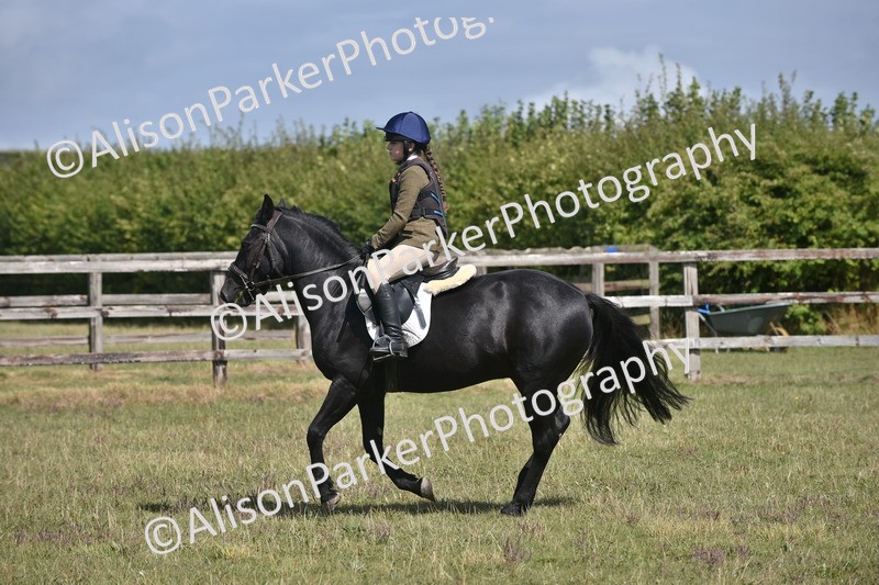 20250831-3990 - Class 12 - Working Hunter Pony 14.2hh and Under