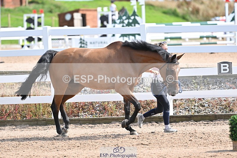 240717A-155454-03180 - Trot Up 3pm to 4pm