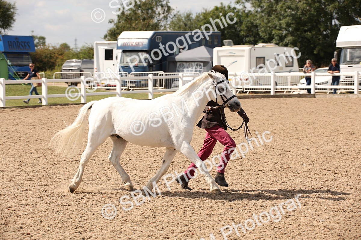 SBM_04579 - Class 20 IH Veteran