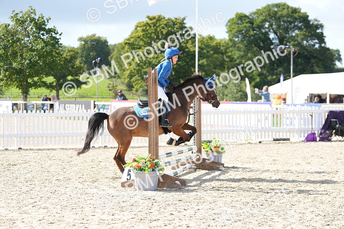 SBM_16862 - J58 - Clear Round 50cm