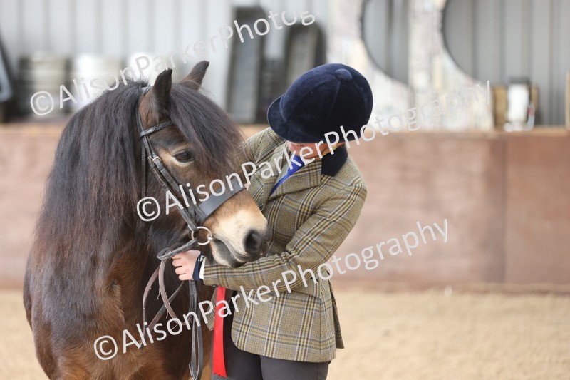 20251109-0674 - Class 22 - Geldings 4 Years and over