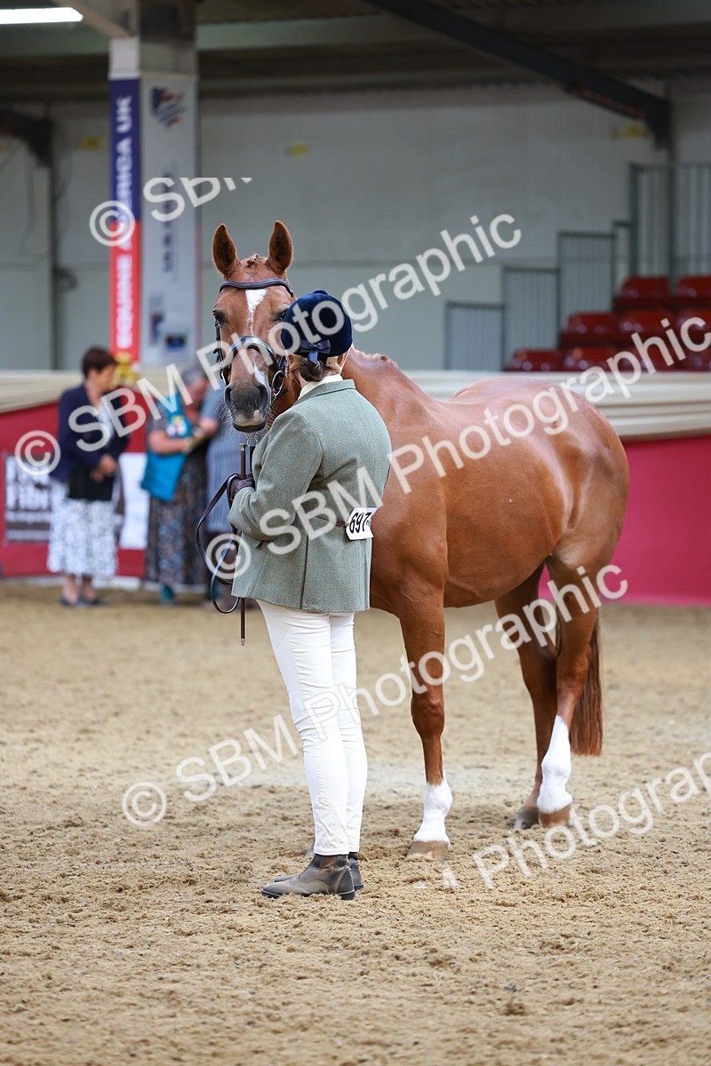 SBM_04313 - Class 9R - IH Pre-Vet