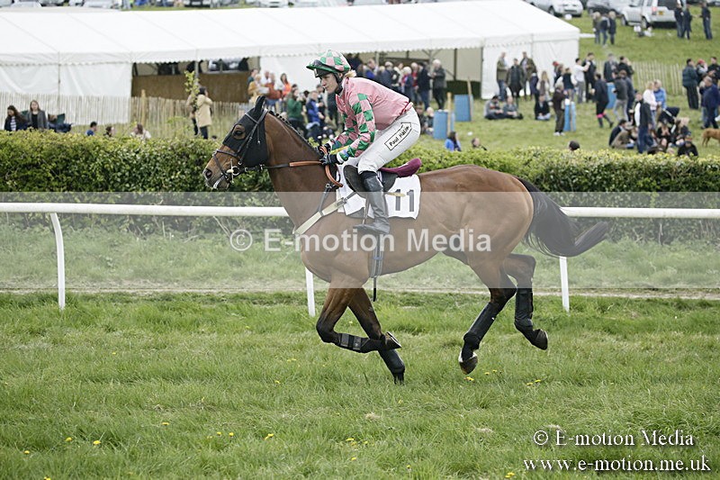 PtP 170417 495 - Old Berks Point-to-Point Lockinge 17/04/17