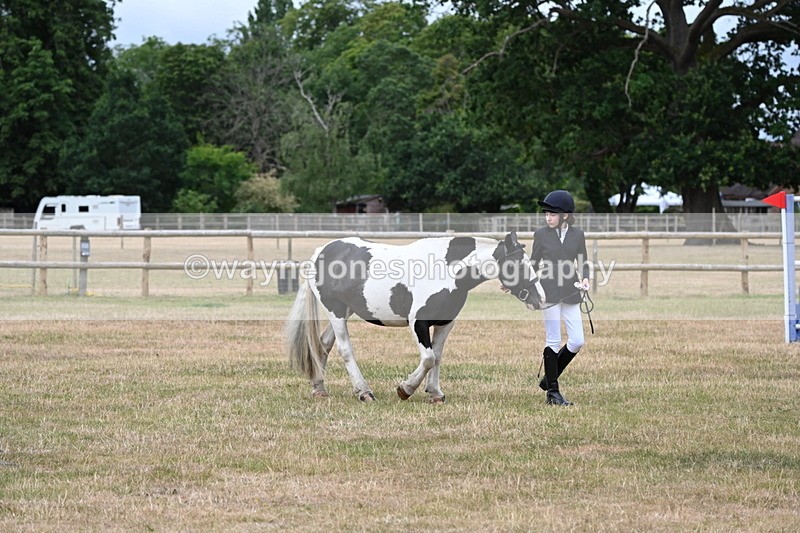WJ6_4594 - Class 10 Coloured In-hand