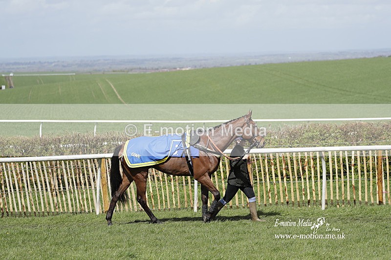 PtP 100423 455 - Old Berkshire Point-to-Point Lockinge 10/04/23