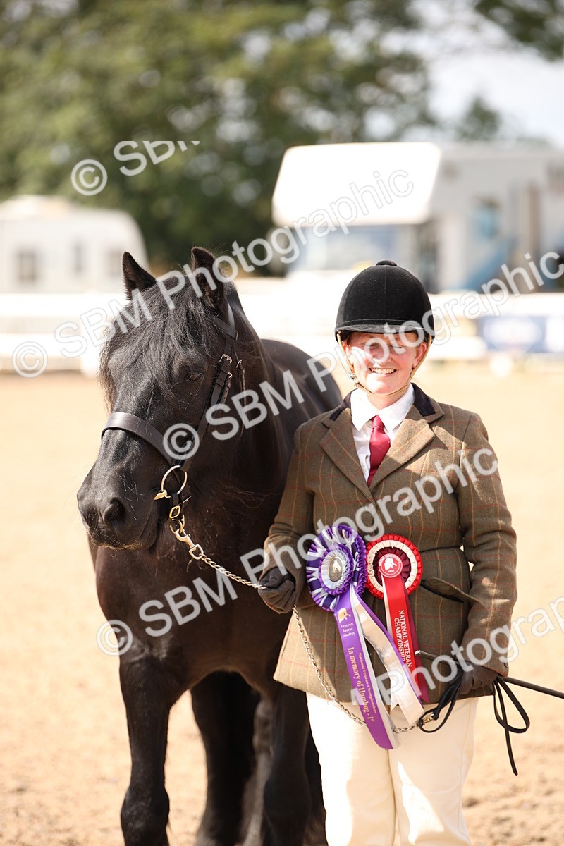 SBM_03442 - Class 18 Handsomest Gelding (IH or Ridden)