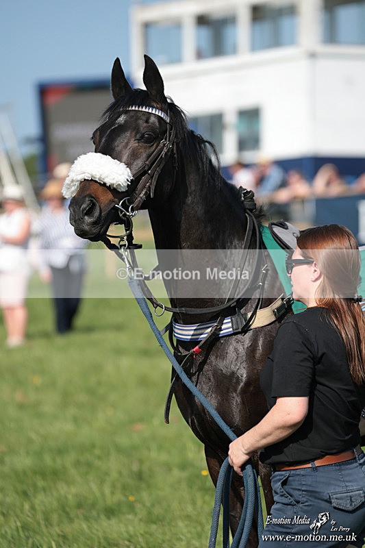 PR 250526 63 - Pony Racing from Chaddesley Corbett 25/05/26