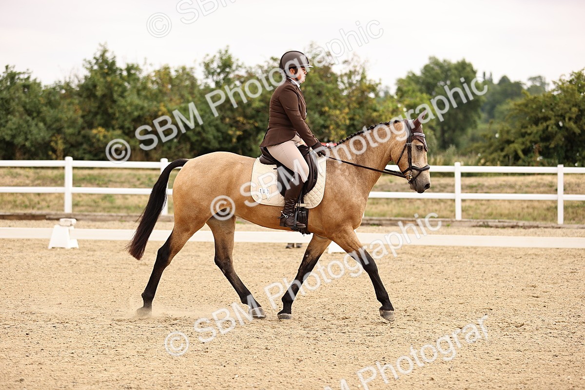 SBM_006435 - Intro 3 - 9.46-10.46