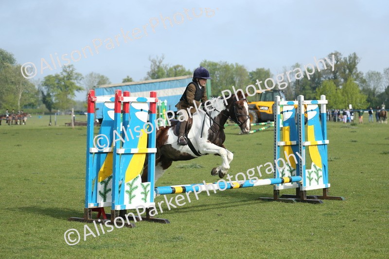 20260426-0059 - Class 13 - Rookie Jumping 50cm