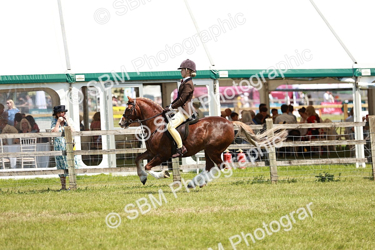 SBM_15795 - Class 108-109 - BSPS LIHS Open Gradle & Nursery Stakes