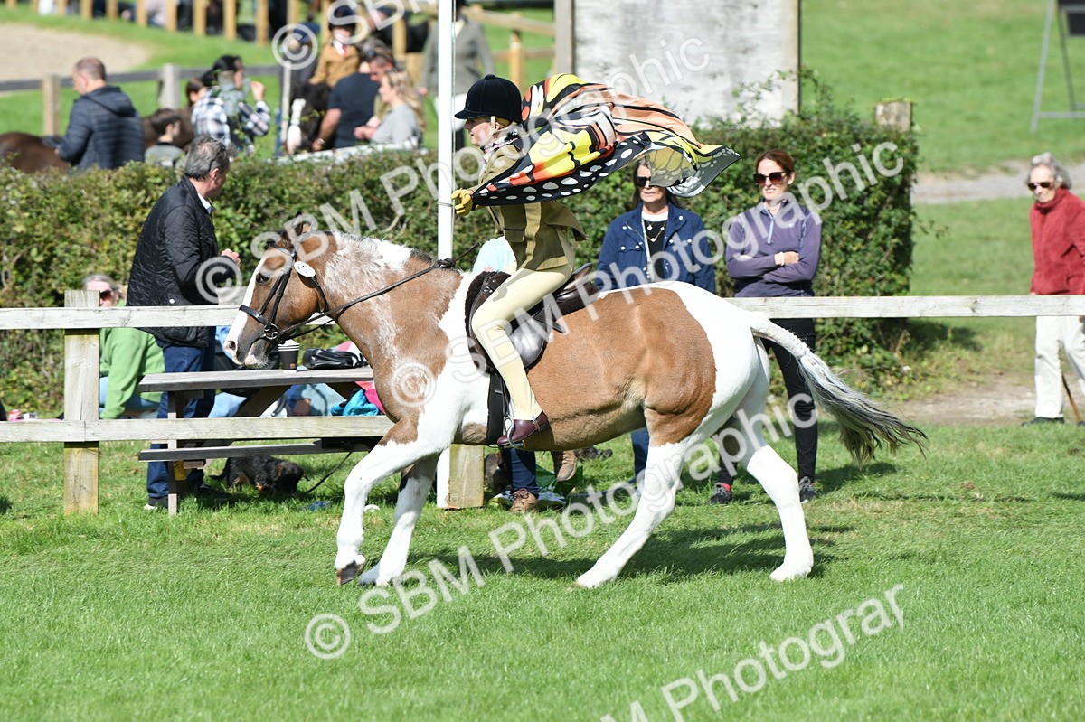 SBM_47109 - S12 - Family Horse & Pony