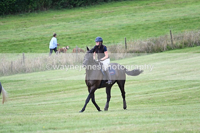 WJ7_6590 - Time 12:00 to 12:17