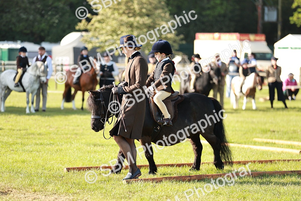 SBM_11072 - Class 106-107 - BSPS LIHS Working Sports Pony