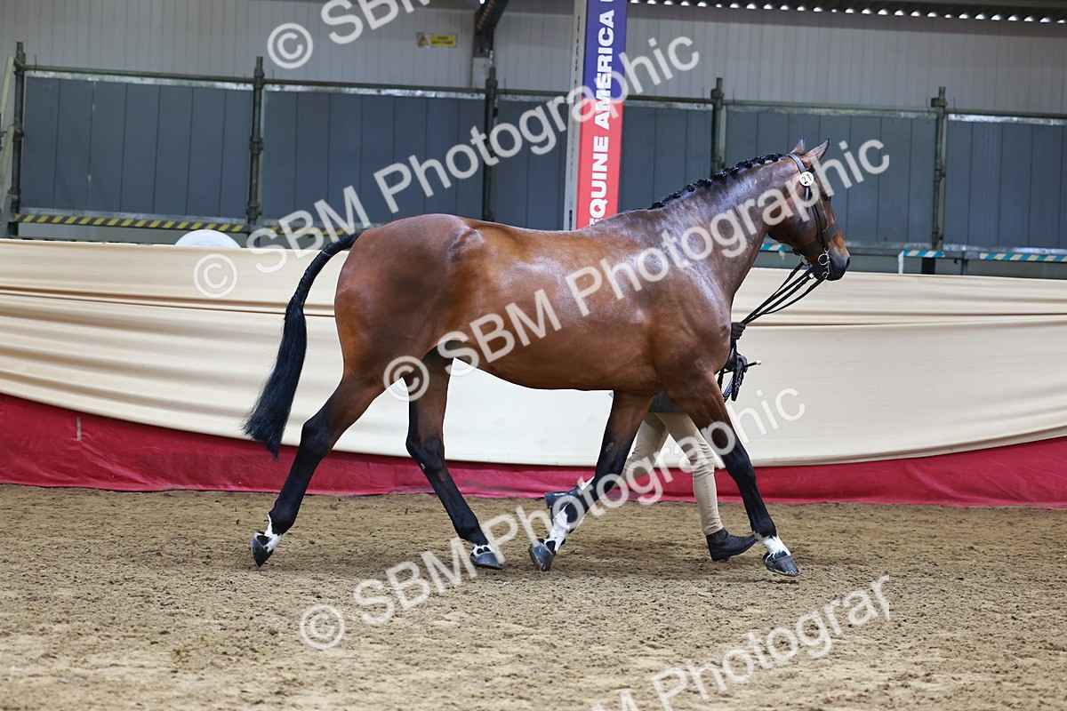 SBM_22286 - Class 902 - Supreme Final - IH Diamond