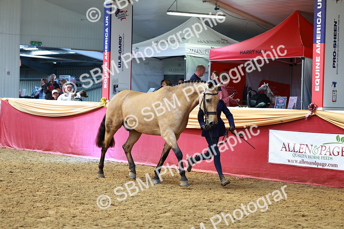 SBM_18591 - Class 903 - Sup Final - IH Pre Vet