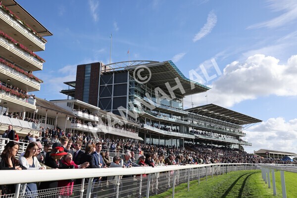 yr08102022r2-22 - Race 2 2.05pm The Coral Rockingham Stakes