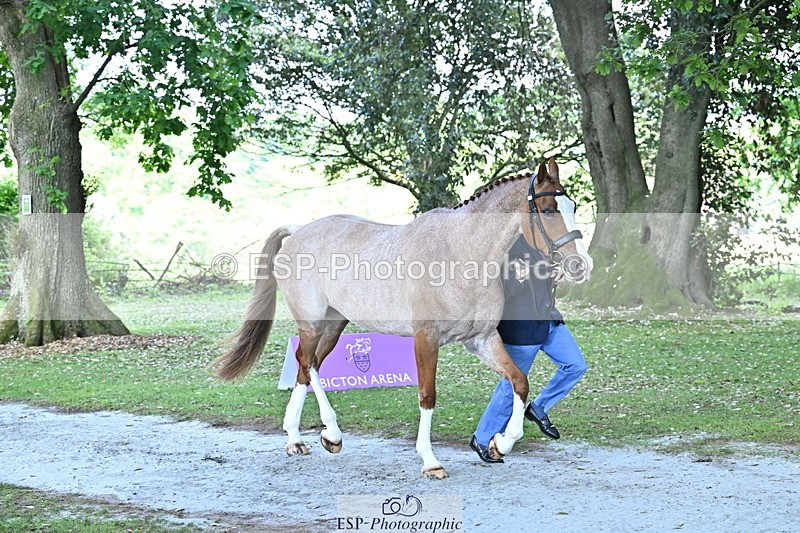 250521A-160903-00940 - C-282-Harry.Meade-NASHVILLE