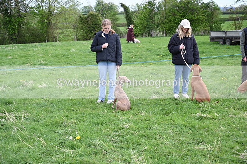 WJ6_8015 - Class 2 Best Pedigree