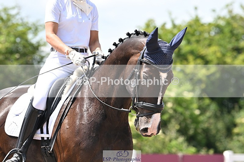 240621A-142410-03909 - Cls 11 BD Medium 73