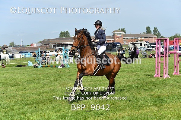 BPP_9042 - CLASS 4 RHS Power and Performance B & C Championship Qualifier (1.25m)