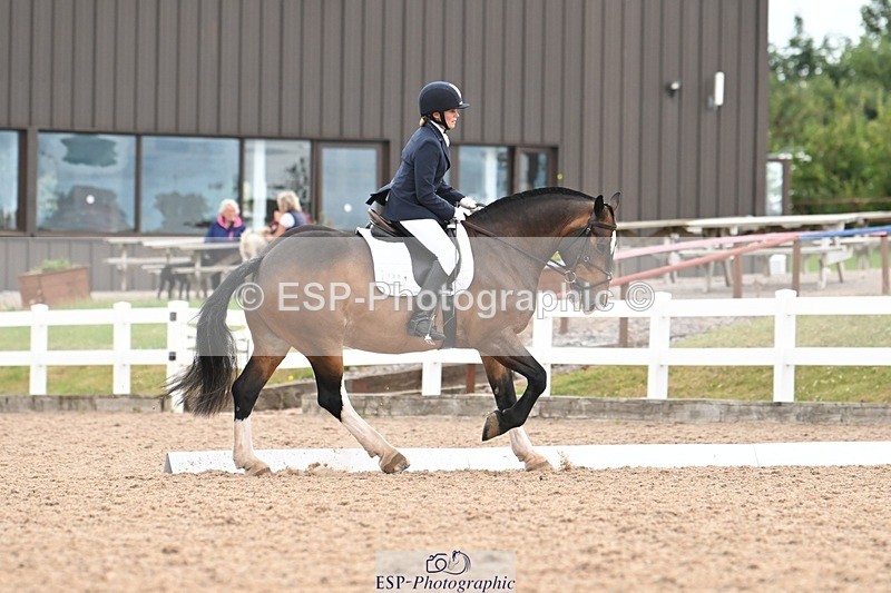 250705-175533-03118 - N3 Section BDNOV3 15.55 to 17.19