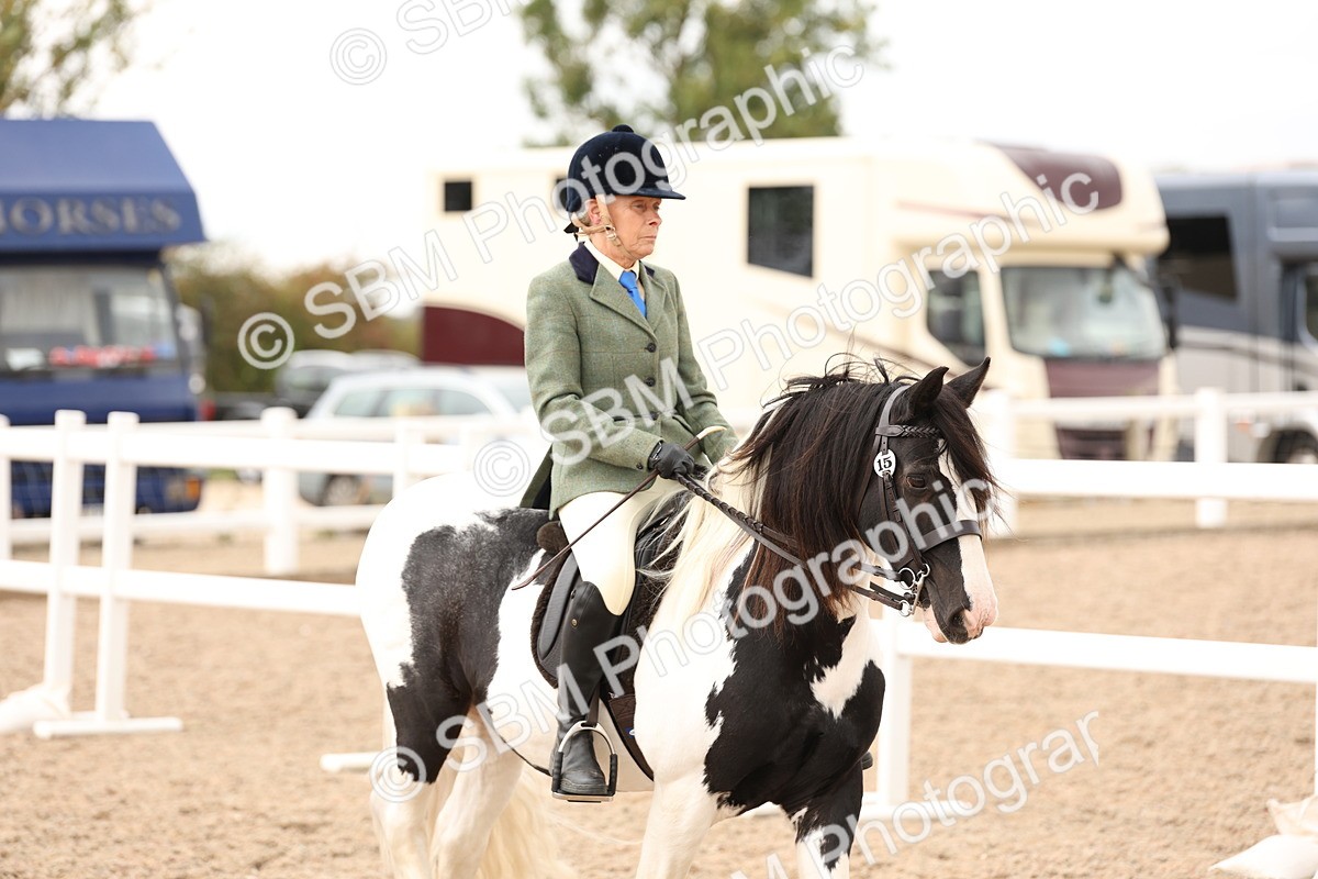 SBM_19632 - Class 216 - Ridden Traditional - Native Cob