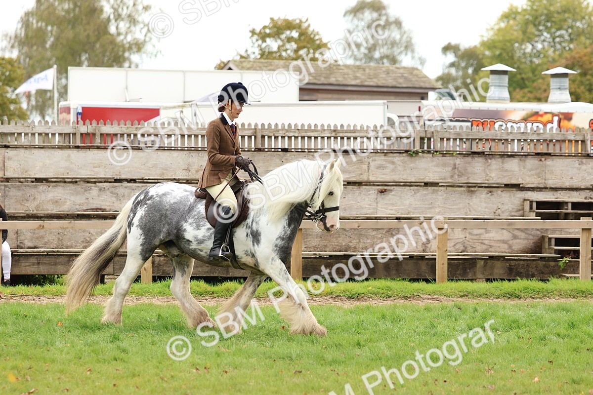 SBM_64475 - S58 - Coloured Pony Ridden