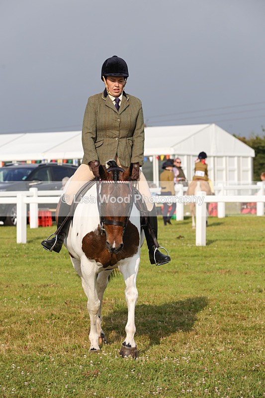 1X9A2913 - Class 25: Ridden Plaited Coloured Horse