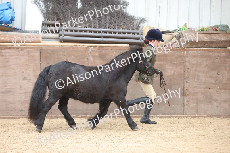 20251109-0156 - Class 8 - Young Handlers