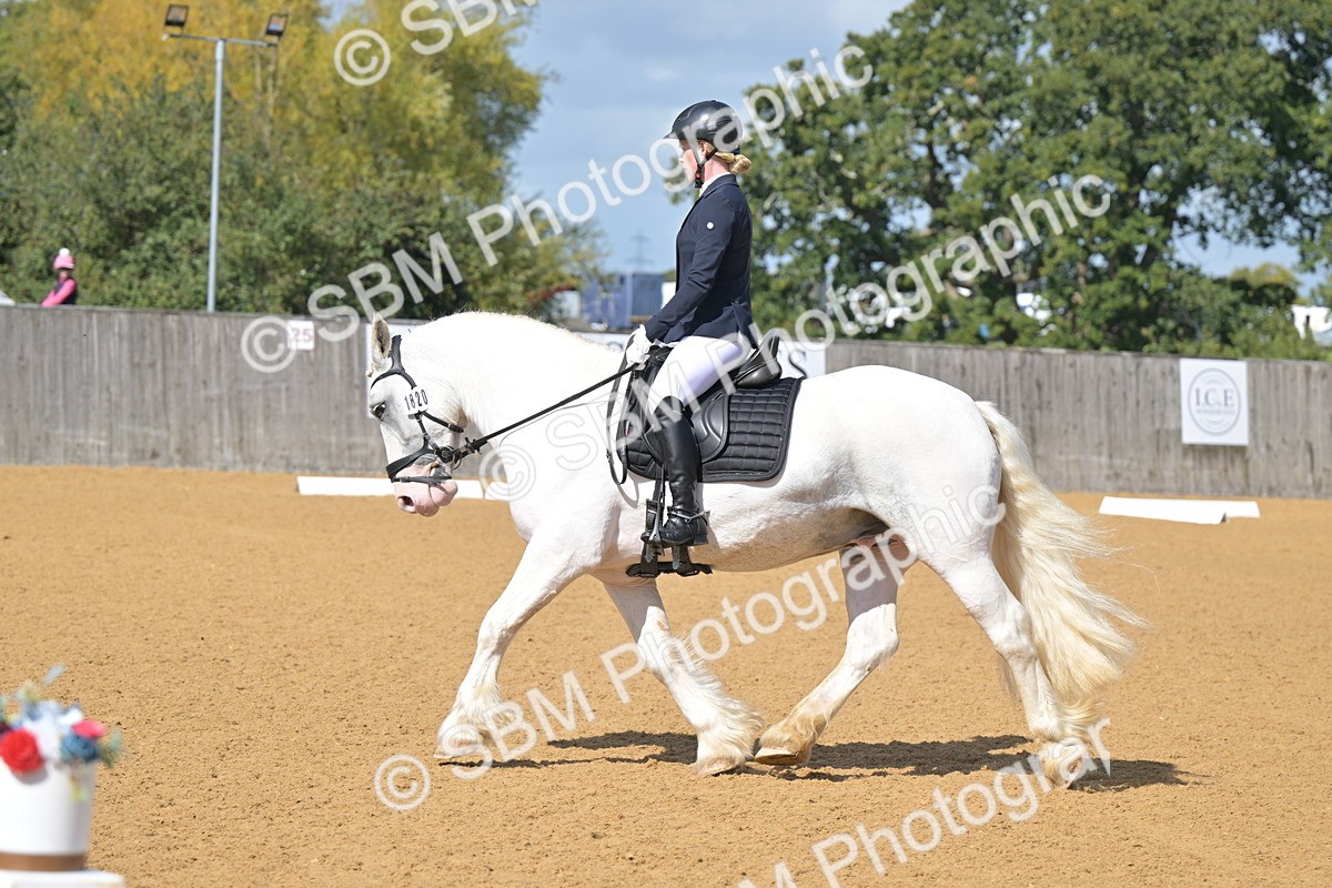 SBM_07987 - D8 - Small Tour Championship Prelim 1