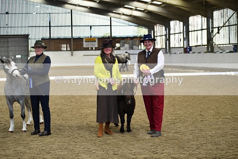 WJ5_5547 - Class 8 In hand cob