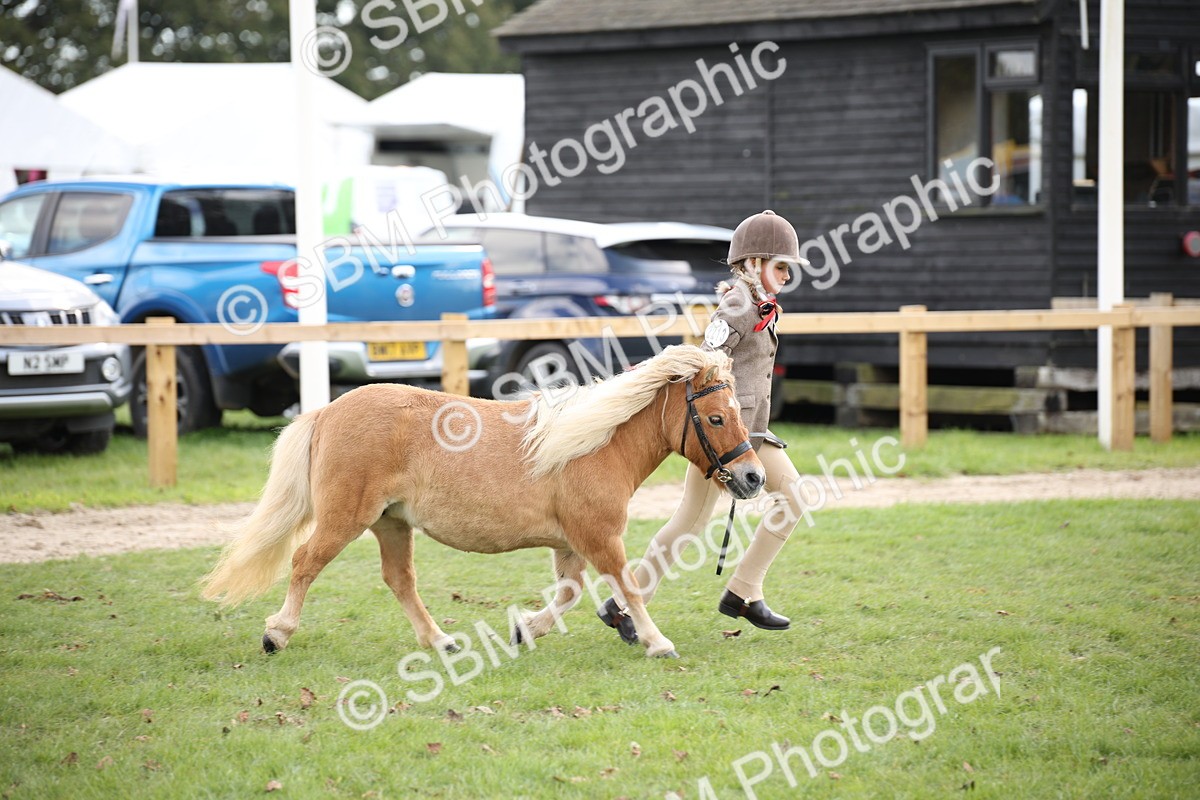 SBM_44368 - S24 - Young Veteran in hand