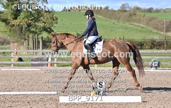 BPP_9171 - SHORT ARENA PRELIM 1