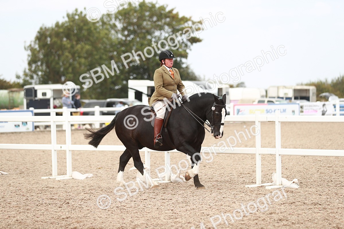 SBM_16689 - Class 214 Ridden Cob