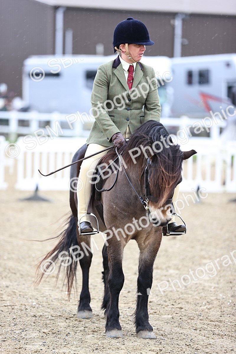 SBM_007462 - Class 31-32 - M&M Confined Novice Small-Large