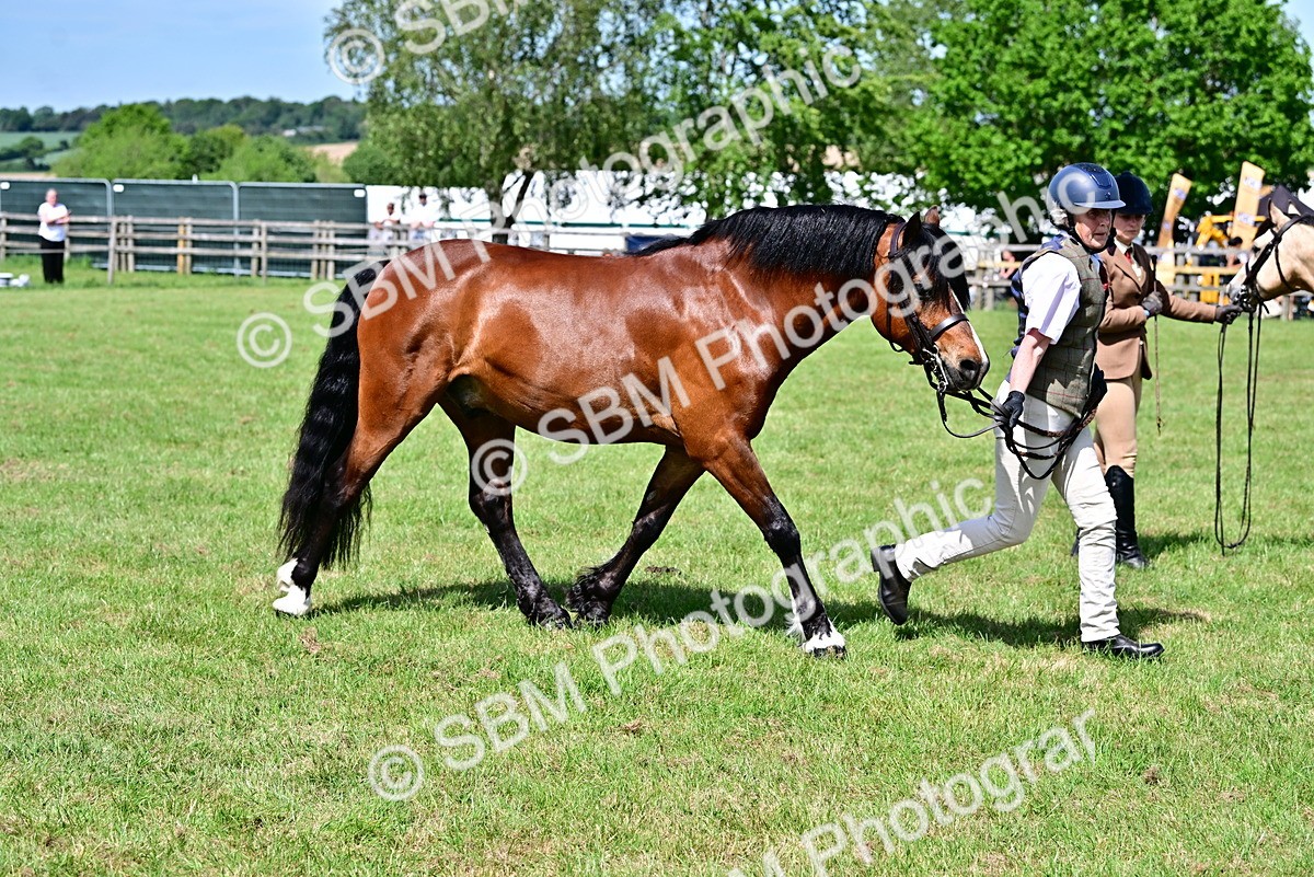 SBM_08063 - Class 61-62 - TSR  M&M Ridden Amateur of the Year