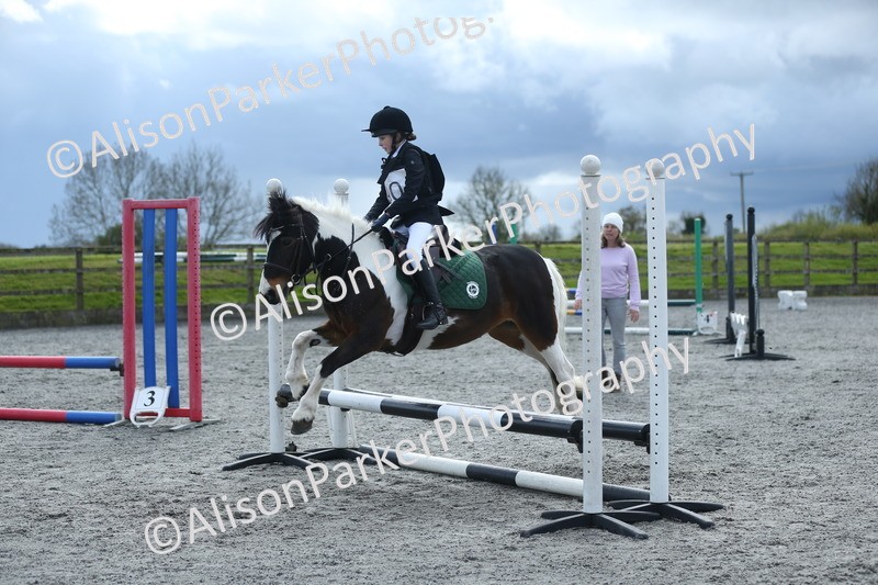 20260412-1828 - Show Jumping