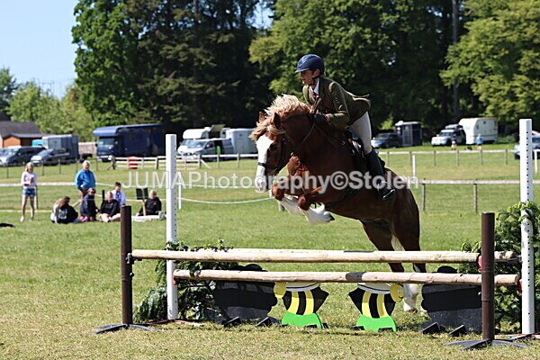 IMG_4348 - Working Hunter